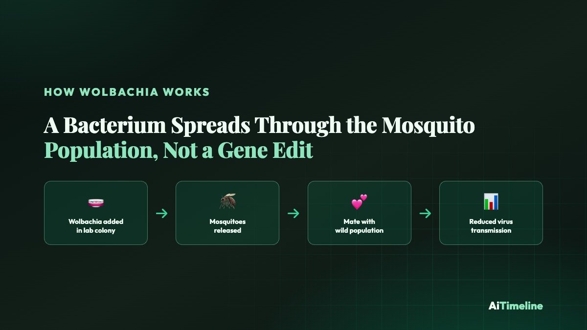 Diagram showing how Wolbachia bacterium spreads through an Aedes aegypti mosquito population across generations, reducing the population's ability to transmit dengue, Zika and chikungunya
