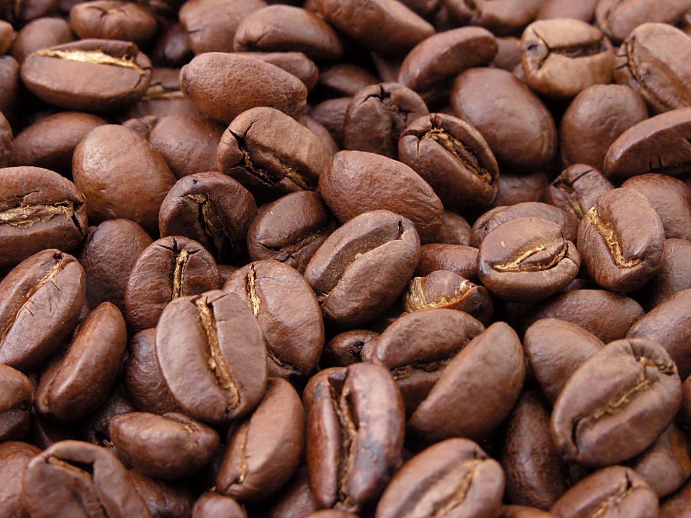 Roasted coffee beans, the raw material whose brewing method determines how much cafestol and kahweol end up in the final cup