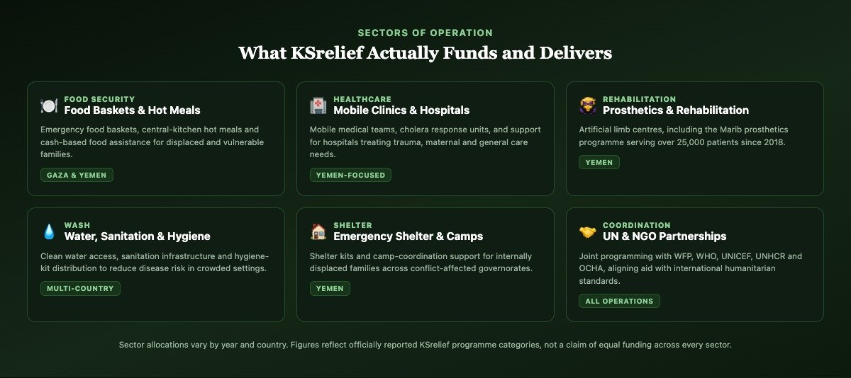 Grid of six cards showing KSrelief's sectors of operation: food security, healthcare, rehabilitation, WASH, shelter and UN coordination