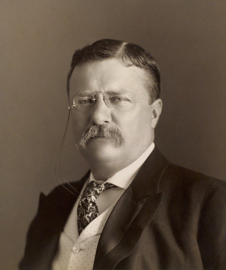 Theodore Roosevelt portrait by the Pach Brothers, the 1906 Nobel Peace Prize laureate