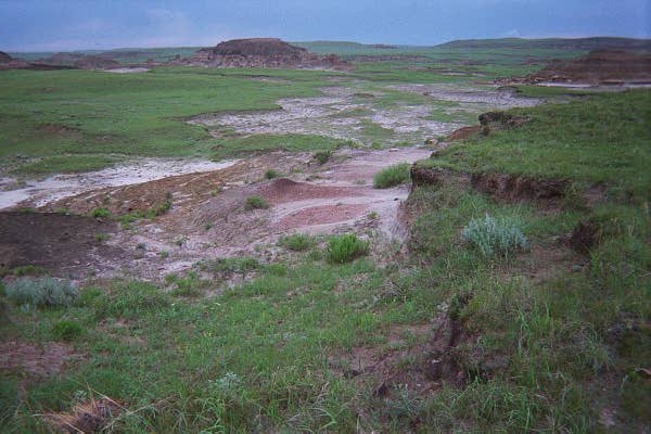 Badlands exposures of the Hell Creek Formation, the same rock unit where the T. rex trackway was found