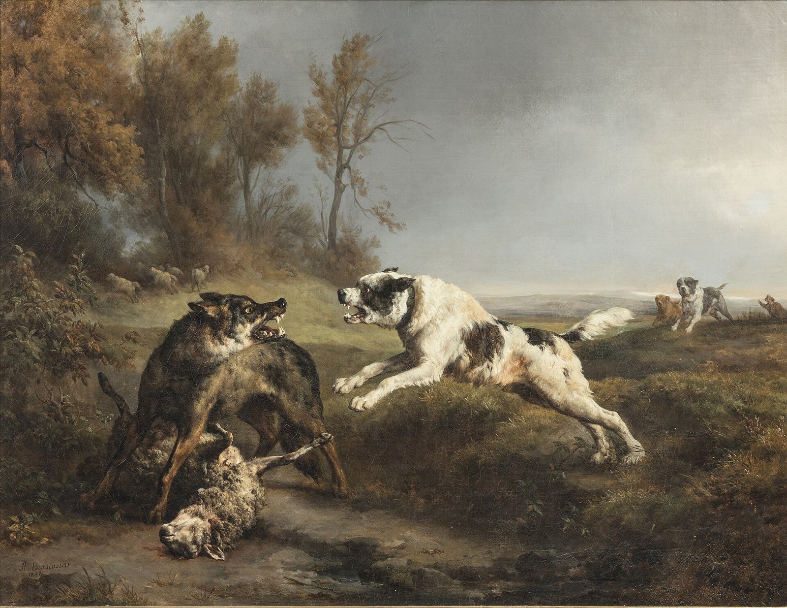 Le Loup (The Wolf)