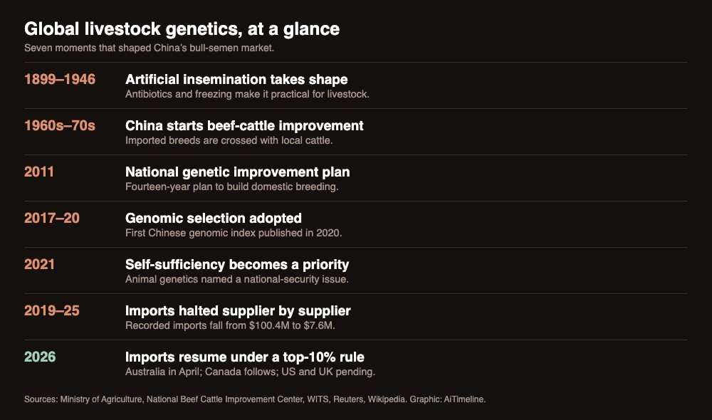 Timeline graphic of seven moments in China's bull semen market from 1899 to 2026