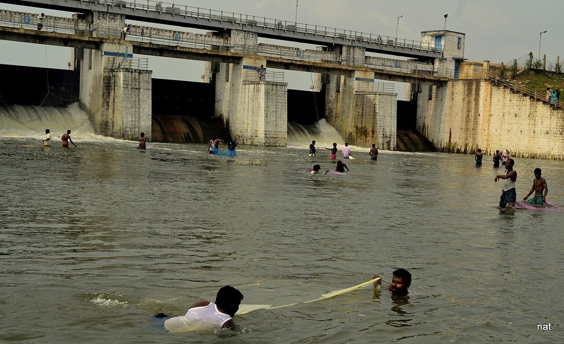 Water flowing out of the open sluice gates of the Chembarambakkam lake dam with people wading in the river below