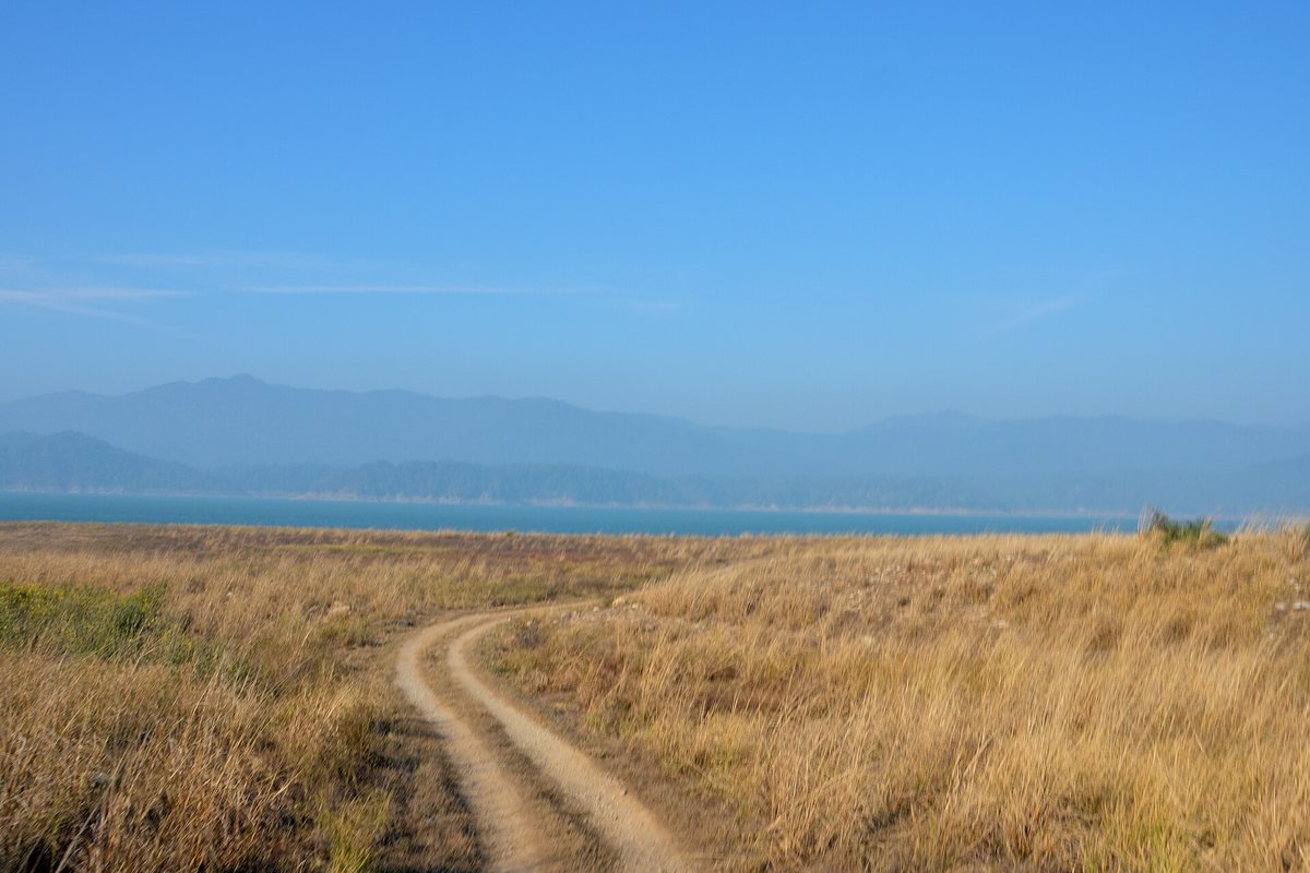 The Dhikala grasslands of Corbett National Park