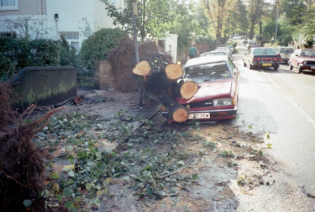 South London after the Great Storm of 15 and 16 October 1987, which shut the London Stock Exchange on the Friday before Black Monday