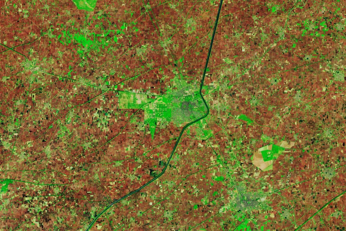 False-colour Landsat 9 view of fields near Faridkot, Punjab, on 25 November 2024